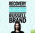 Recovery: Freedom From Our Addictions (MP3)