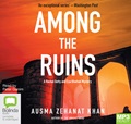 Among the Ruins (MP3)