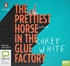 The Prettiest Horse in the Glue Factory (MP3)
