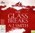 The Glass Breaks (MP3)