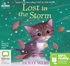 Lost in the Storm (MP3)