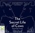 The Secret Life of Cows