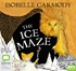 The Ice Maze (MP3)