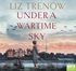 Under a Wartime Sky (MP3)